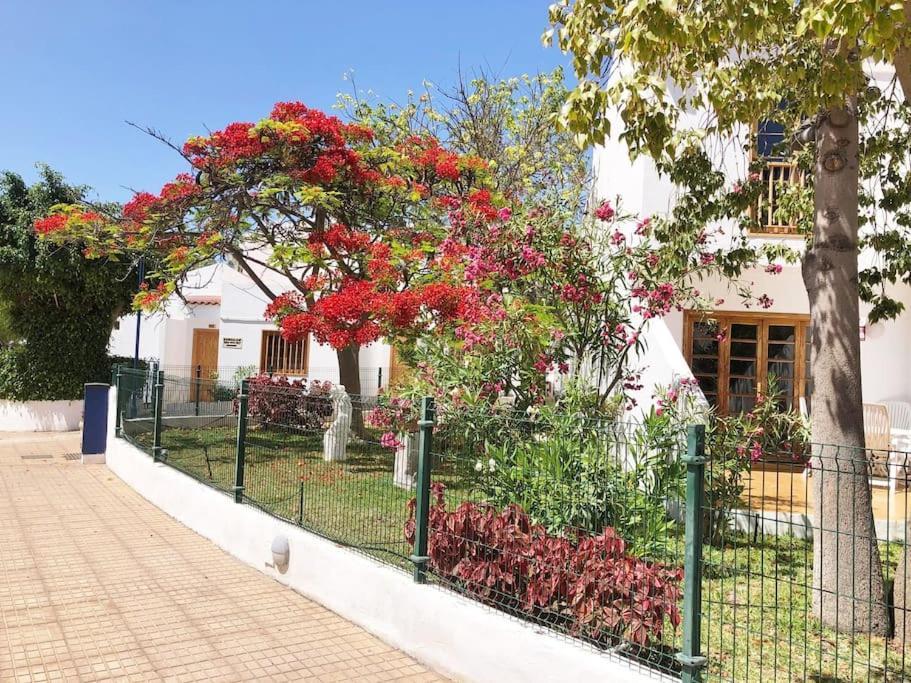 Playa Feñabe Apartamento Lucia Garden City Con Piscina Climatizada מראה חיצוני תמונה