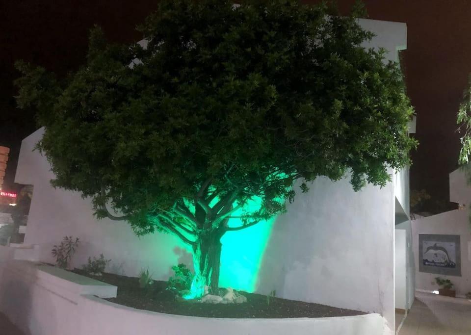 Playa Feñabe Apartamento Lucia Garden City Con Piscina Climatizada מראה חיצוני תמונה