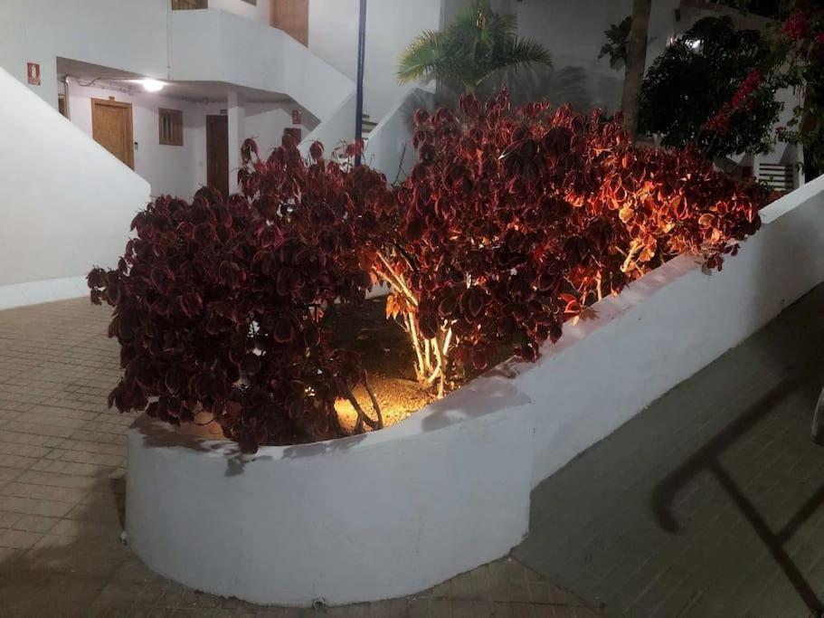 Playa Feñabe Apartamento Lucia Garden City Con Piscina Climatizada מראה חיצוני תמונה