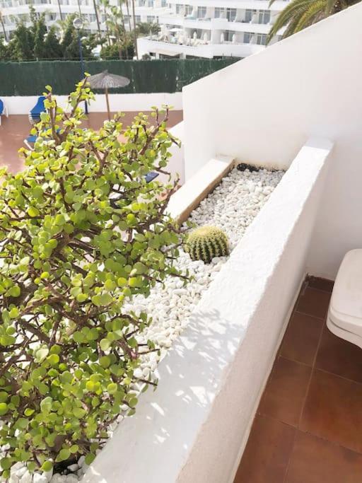 Playa Feñabe Apartamento Lucia Garden City Con Piscina Climatizada מראה חיצוני תמונה