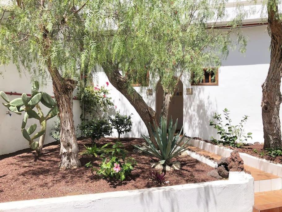 Playa Feñabe Apartamento Lucia Garden City Con Piscina Climatizada מראה חיצוני תמונה