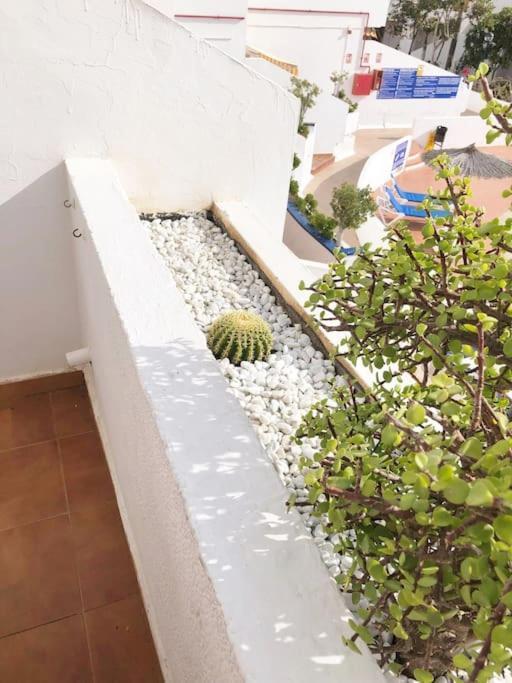 Playa Feñabe Apartamento Lucia Garden City Con Piscina Climatizada מראה חיצוני תמונה