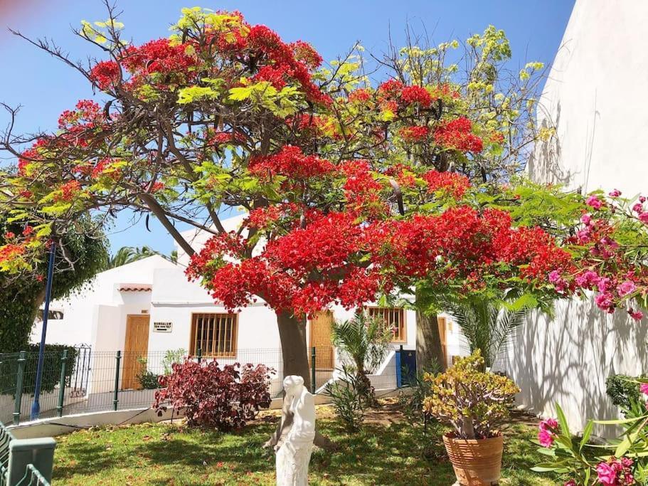 Playa Feñabe Apartamento Lucia Garden City Con Piscina Climatizada מראה חיצוני תמונה