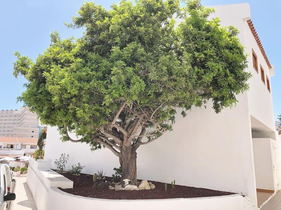 Playa Feñabe Apartamento Lucia Garden City Con Piscina Climatizada מראה חיצוני תמונה